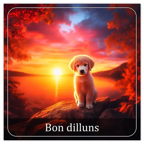 bon-dilluns-01