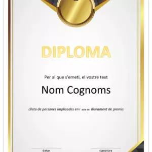 diploma 01
